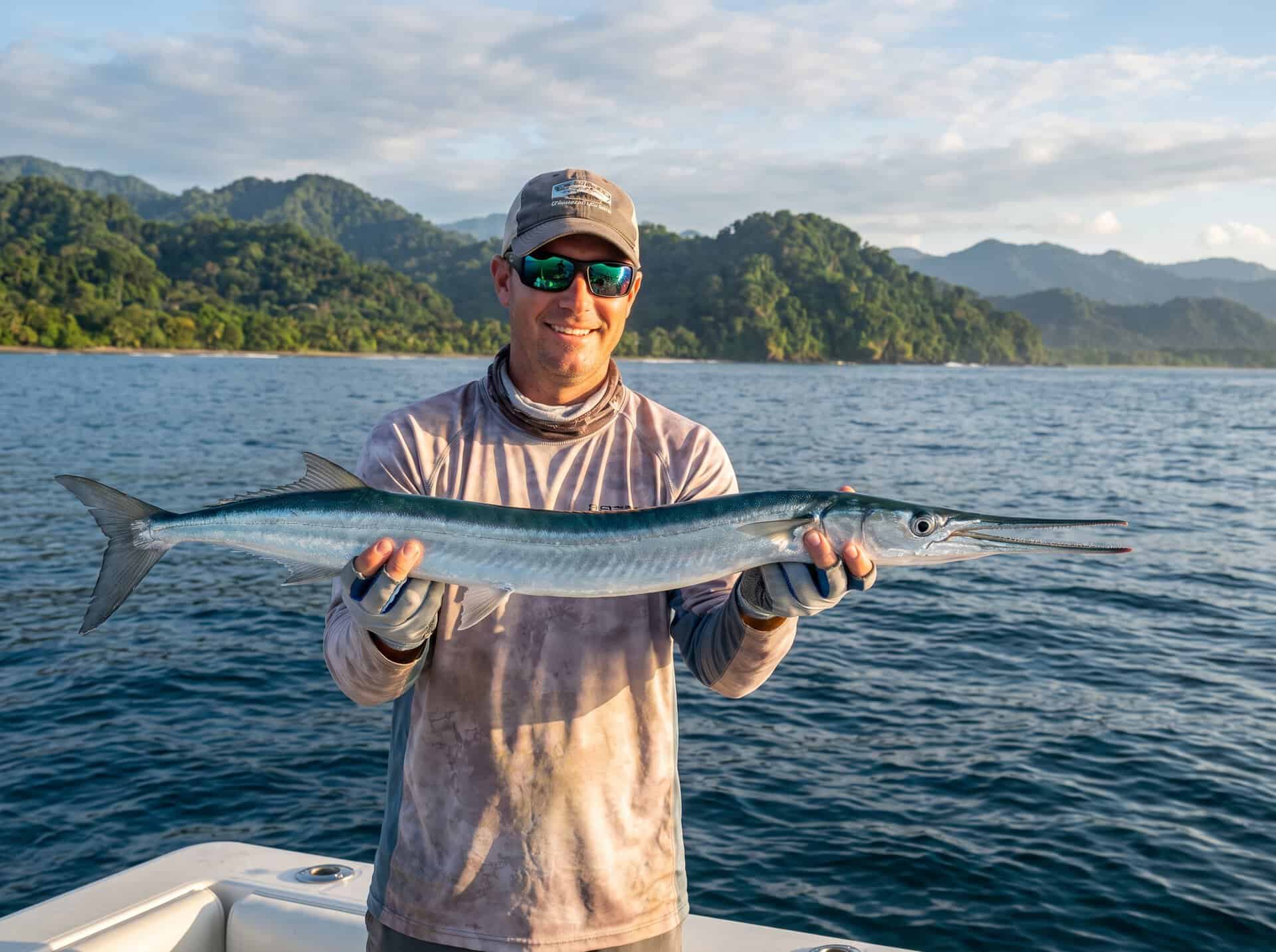Needlefish caught on an inshore fishing charter in Quepos, Costa Rica