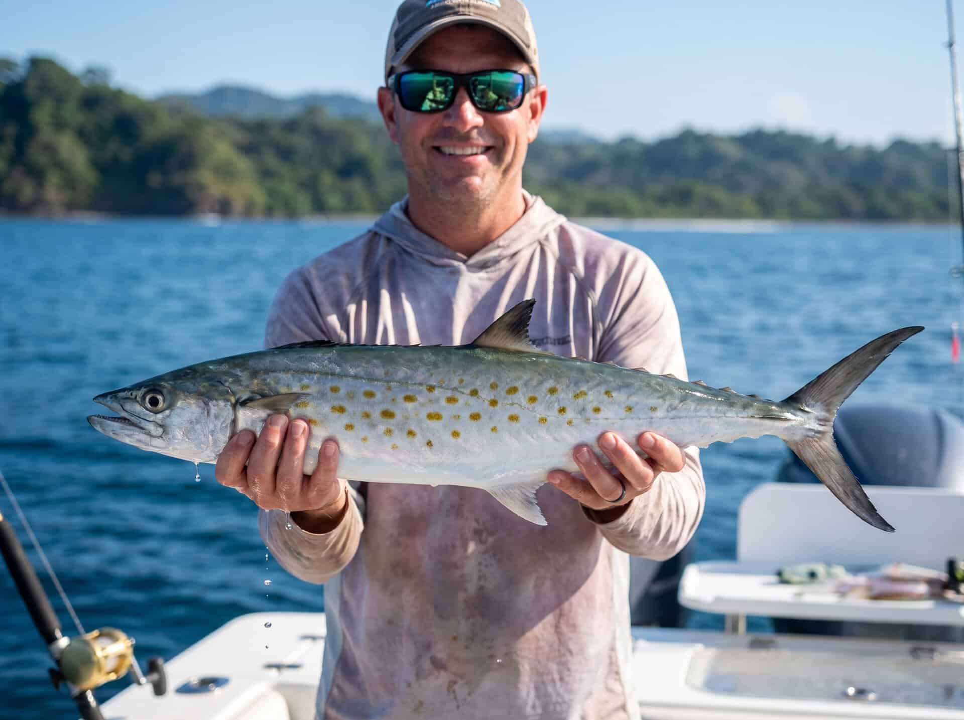 Spanish Mackerel caught on an inshore fishing charter in Quepos, Costa Rica